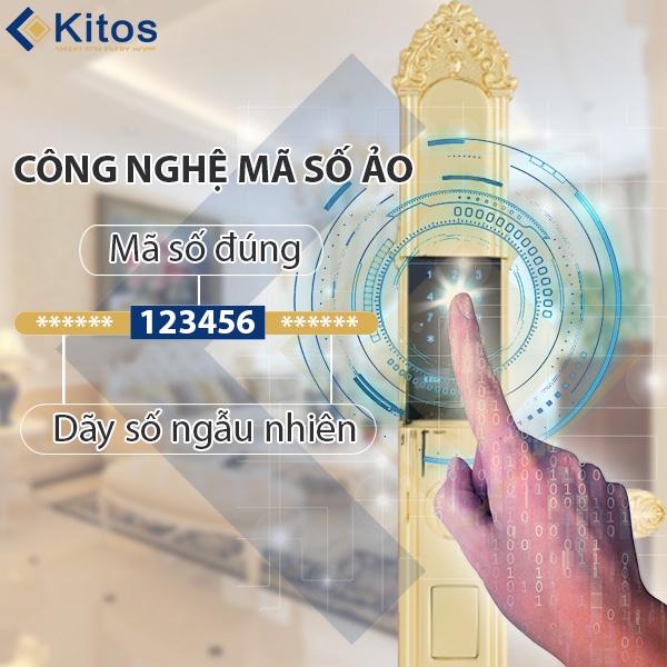 Khóa cửa vân tay tân cổ điển Kitos KT-C810 Golden 24k