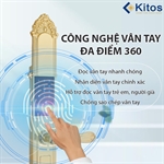 Khóa cửa vân tay tân cổ điển Kitos KT-C810 Golden 24k