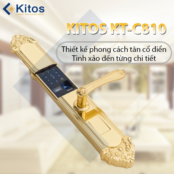 Khóa cửa vân tay tân cổ điển Kitos KT-C810 Golden 24k