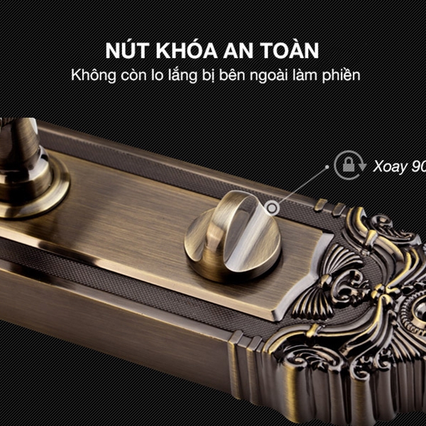 Khóa vân tay tân cổ điển Kaadas 6002