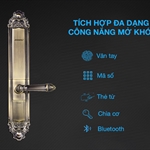 Khóa vân tay tân cổ điển Kaadas 6002