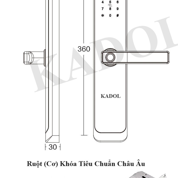 KADOL KD-FP19