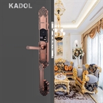 KADOL KD-VL8000