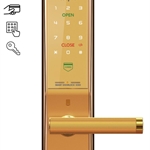 Khóa cửa thông minh LocPro K300