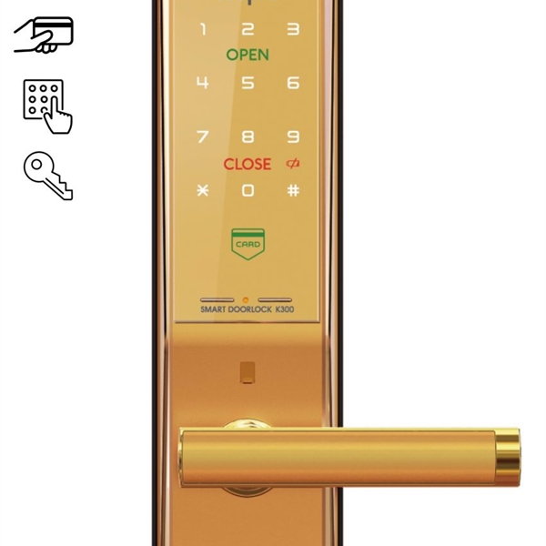 Khóa cửa thông minh LocPro K300