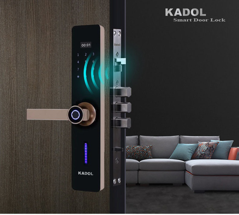 khóa cửa vân tay